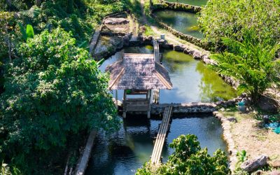 Cebu Hotels: Luxe to Budget Stays