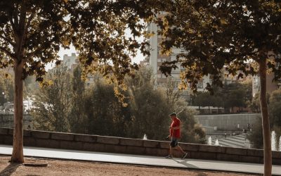 Madrid Hotels: Find Your Perfect Stay