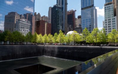 NYC Hotels: Luxe to Budget Finds