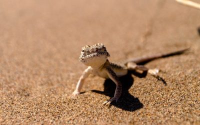 Almaty Awaits: Top Hotel Picks for 2025