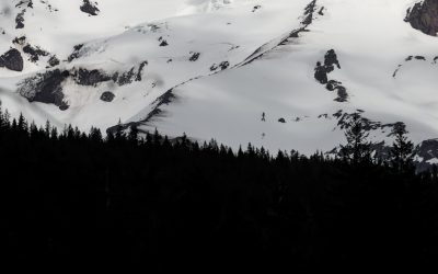 Best Washington DC Hotels Guide