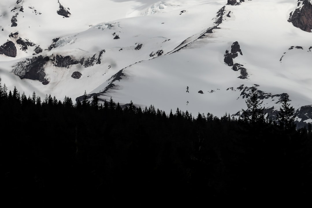 best-washington-dc-hotels-guide-1746317331047