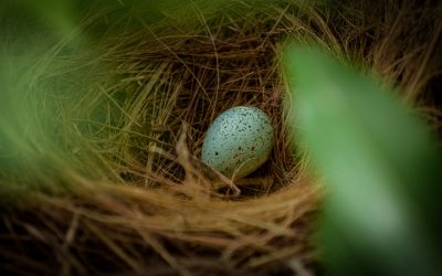 Boost Savings: Spend Smart, Save More