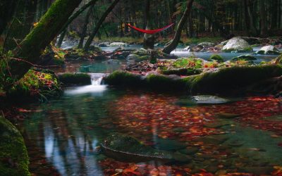 Gentle Mind-Body Practices: Easier Than Yoga