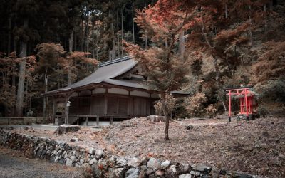 Kyoto Hotel Guide: Top Stays