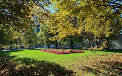 Moscow Hotels: Luxe to Budget Stays for Every Traveler