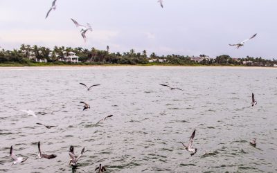 Naples Hotels: Top Stays for Every Budget