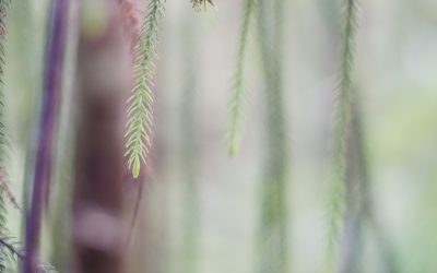 Unlocking Your Potential: The Habits of Daily Growth