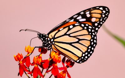 30-Day Challenge: Transform Your Life