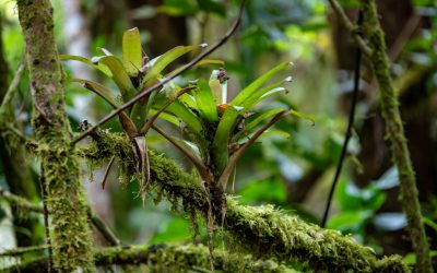 Boost Focus: Craft Your Ideal Workspace