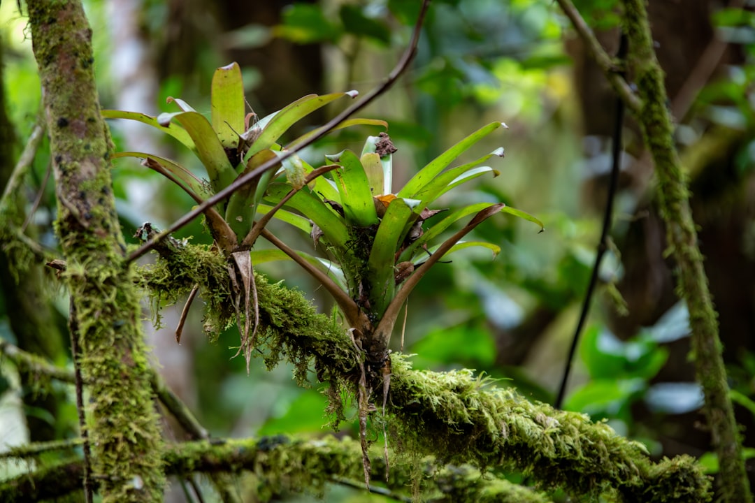 boost-focus-craft-your-ideal-workspace-1751080057647