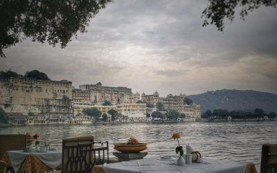 Chair Workouts: Your Gym-Free Fitness Solution