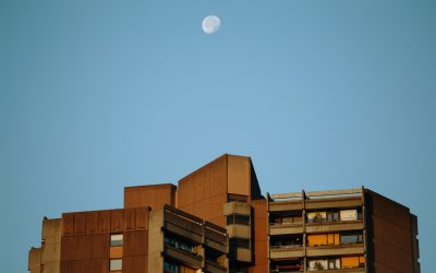 Effortless Morning Habits for Success