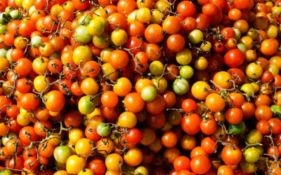 Intermittent Fasting & Abs: The Ultimate Guide