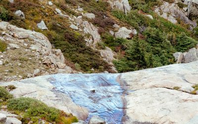 Master Your Breath, Strengthen Your Core