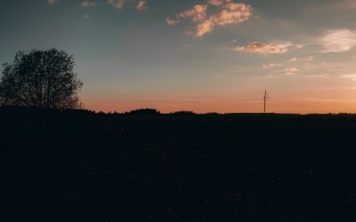 Post-Work Power Hour: Transform Your Life