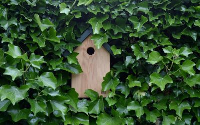 Uncover Hidden Spending Habits