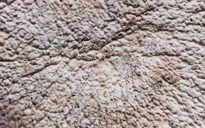 Unlock Daily Habits: The 3-Minute Draw-in Challenge