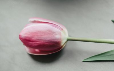 Uplift Your Mood: Simple Steps for Brighter Days