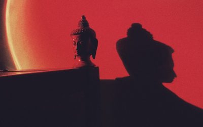 Why Your Abs Aren’t Showing: The Fat Factor