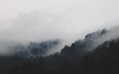 Routine Shift: Unlock Your Potential