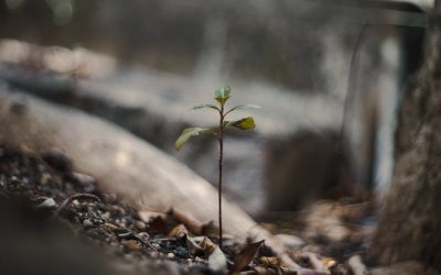 Unlock Your Potential: Global Self-Improvement Trends