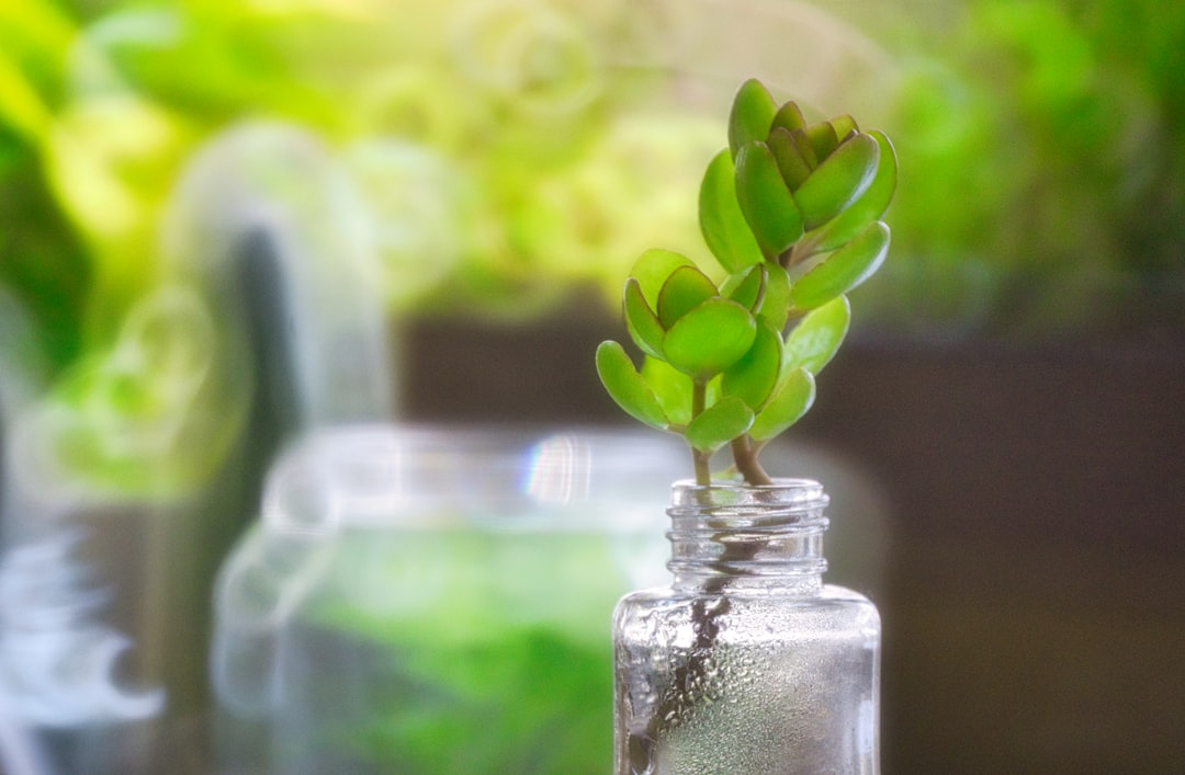 circular-economy-your-guide-to-sustainable-living-1756642071284