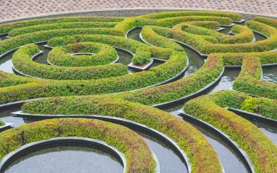 Embrace the Circular Economy Now