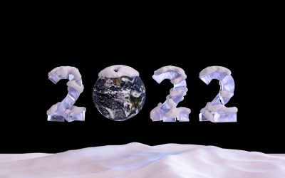 Global Tax Burden: Income vs. Contribution