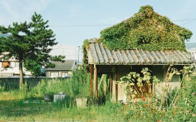 Sustainable Living: Future-Proof Your Life