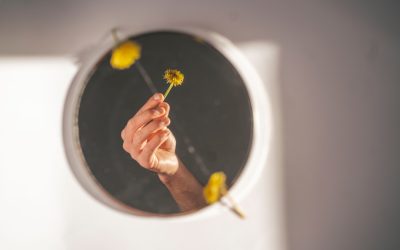 Unlock Your Future: The Longevity Revolution