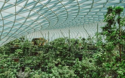 Eco-Travel Unpacked: Sustainable Journeys in 2025