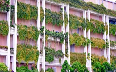 Embrace Sustainable Living: Your Guide to a Circular Future