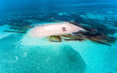 Green Home: Simple Sustainable Living