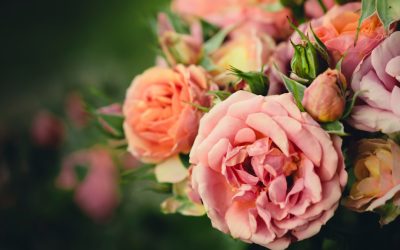 Green Living: Top Sustainable Hacks