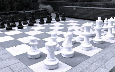 Mastering Blog Profitability: SEO & AdSense Synergy