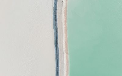 Mastering SEO & AdSense: Your Blueprint for a Profitable Blog in 2025