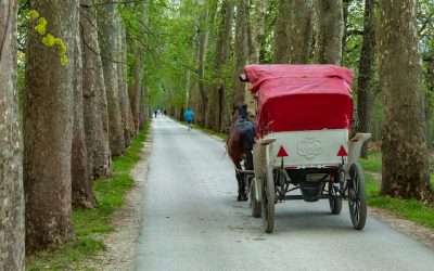 Sustainable Travel: Explore Responsibly