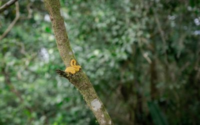 Sustainable Travel: Explore Responsibly