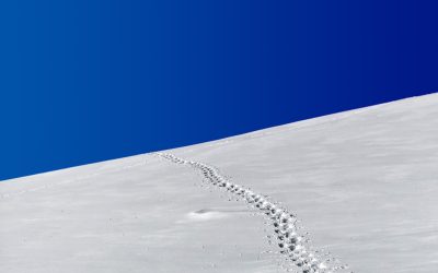 The Ultimate Guide to Practicing Minimalism: Simplify Your Life, Amplify Your Joy