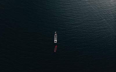 Unlock Blog Profit: SEO & AdSense Mastery