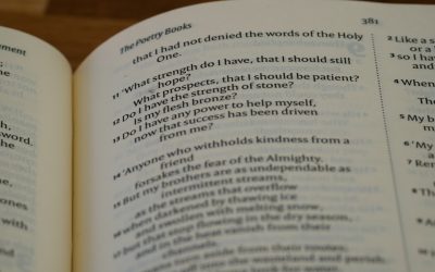 Unlock Your Brain’s Potential: Scientific Study Methods for Peak Performance