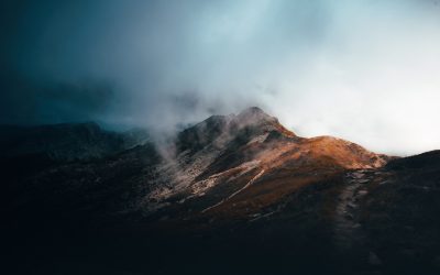 Unlocking the Vault: The Secrets of the World’s Fastest Self-Made Millionaires