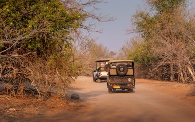 10 Unforgettable Lifetime Travel Destinations You Must Visit Beyond 2025