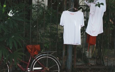 Embrace a Greener Wardrobe: Your Essential Guide to Sustainable Fashion Brands in 2025