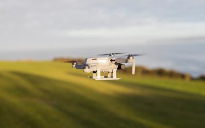 Embracing Solitude: Your Psychological Guide to Living Happily Alone