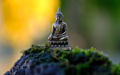 Mastering Your Mind: Meditation Routines for a Stressful Era
