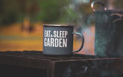 Sip, Savor, and Thrive: Your Ultimate Guide to Enjoying Coffee and Tea Mindfully