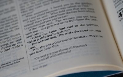 The 1-Hour Daily English Mastery Experiment: Is It Possible?