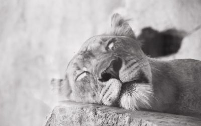 The 10 Surprising Ways Sleep Deprivation Wrecks Your Body